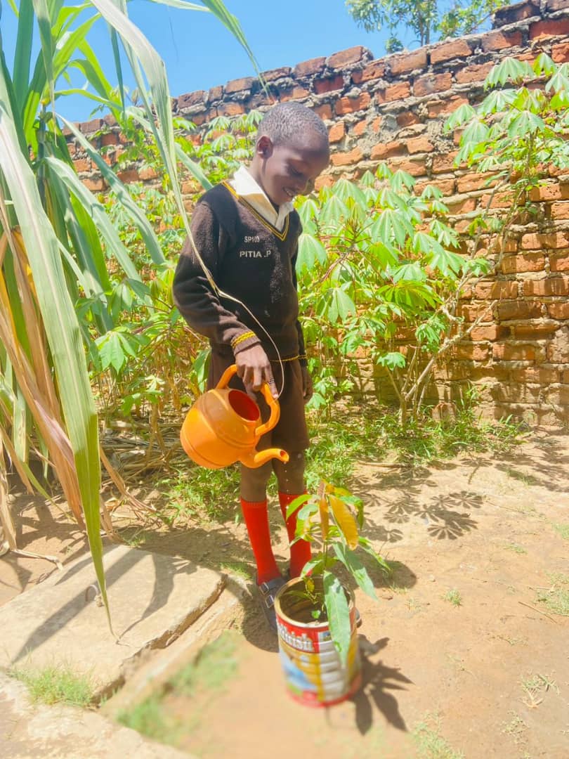 📍ARUA: During #ClimateMobility consultations with <a href="/min_waterUg/">MINISTRY OF WATER AND ENVIRONMENT 🇺🇬</a> and <a href="/ACMI_Africa/">Africa Climate Mobility Initiative</a>, Springs Nursery &amp; Primary School established a new Climate Change, Environment &amp; Mobility Club educating students, teachers &amp; parents on climate change &amp; positive adaptation solutions.

COURTESY📸
