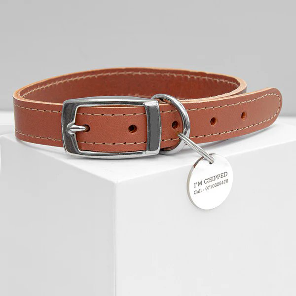 Available in a range of sizes to fit all dogs, this leather collar comes with a metal tag that will be personalised with your phone number, the dog's name or a message lilybluestore.com/products/brown…

#petcare #pets #dogs #nationalpetday #elevenseshour #mhhsbd #EarlyBiz