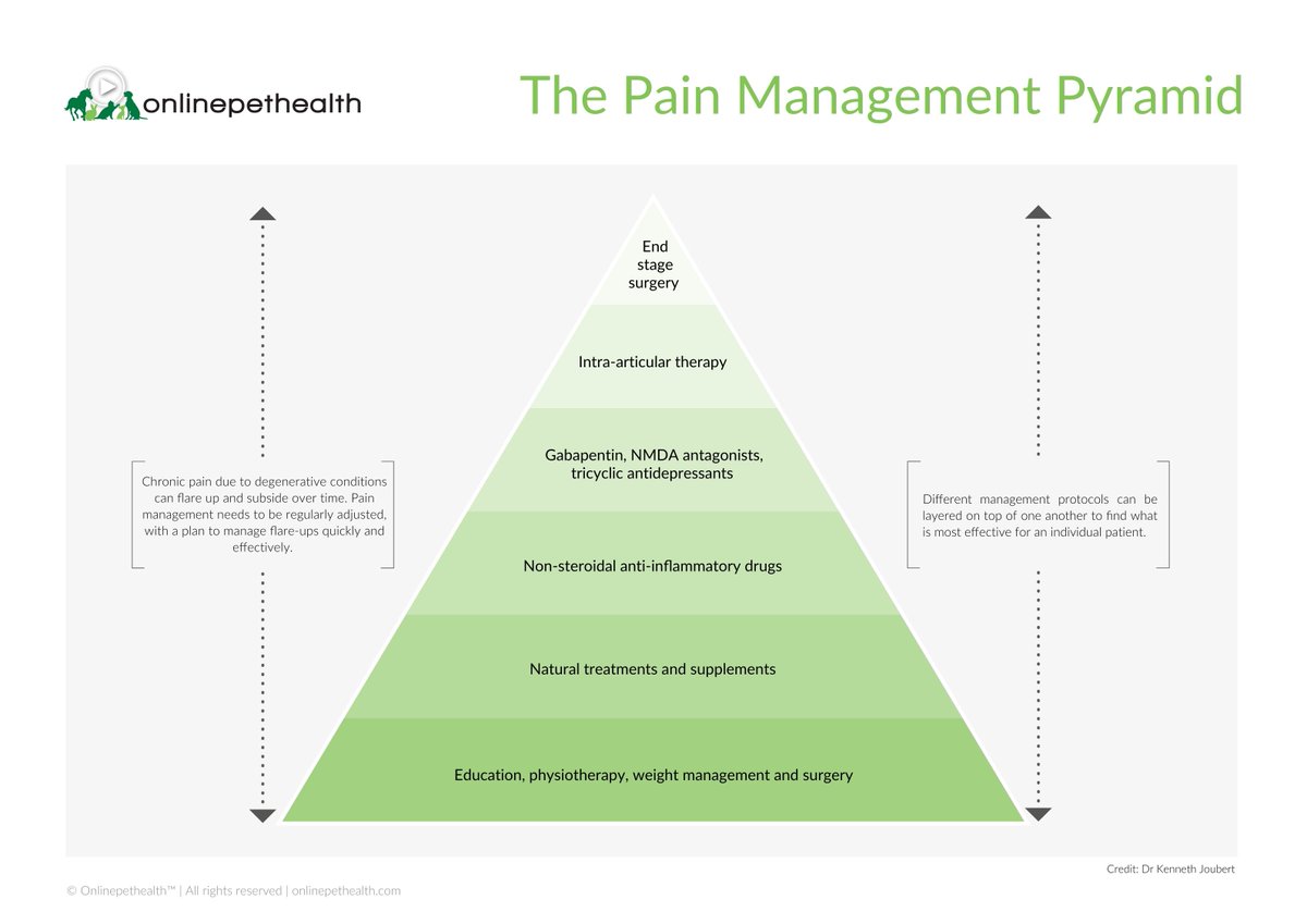 The most effective approach we can take to managing pain is a systematic, multi-modal approach. Understanding the pain management pyramid can help us more effectively and systematically treat debilitating pain in our patients.

onlinepethealth.com/the-pain-manag…