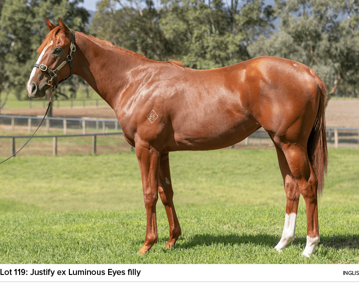 MudgesWorld's tweet image. $62K into $550k (infoal to yearling)
Another very satisfied customer.

I will be attending the upcoming mare &amp;amp; weanling sales &amp;amp; I do have room for more #happy clients. 

Do you see what I see?
#potential
#pinhooking
#ROI 
#profitability