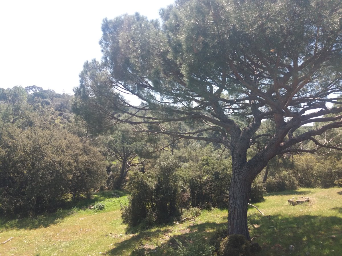 GÜNAYDIN HAYIRLI SABAHLAR .