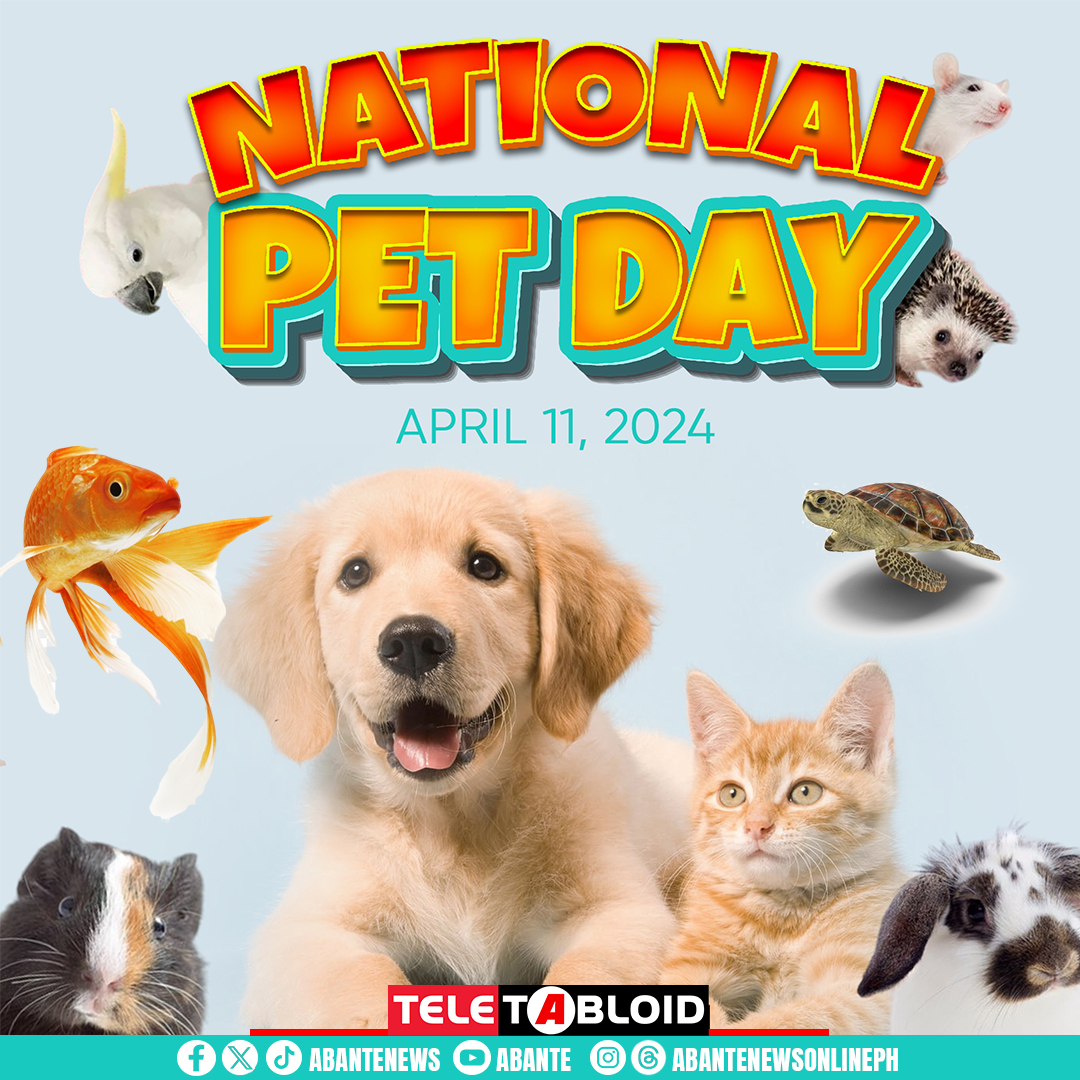 HAPPY NATIONAL PET DAY! I-share niyo na ang picture ng inyong mga cute pets sa comment section! #NationalPetDay #TunayNaTabloidista