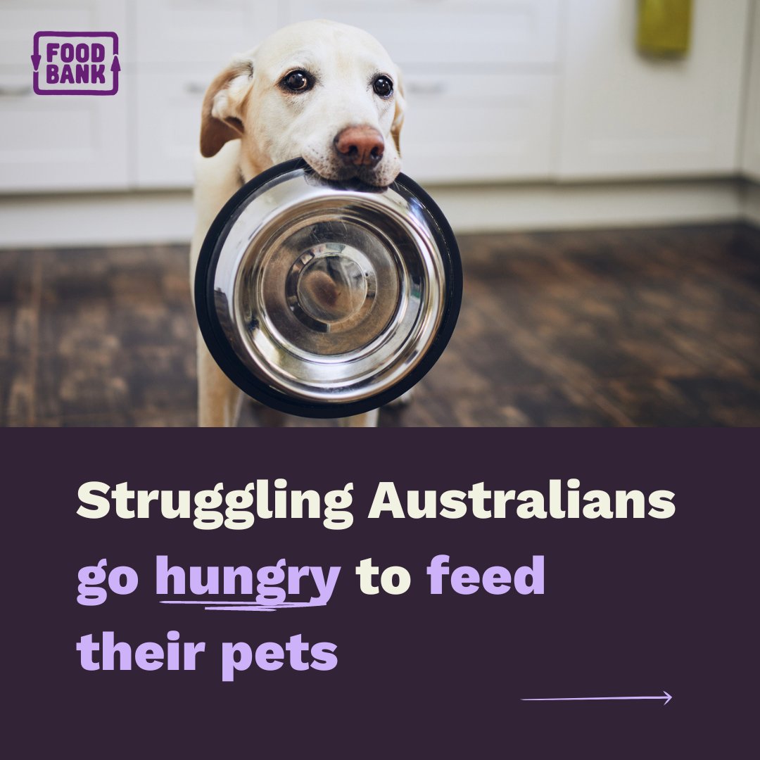 FoodbankAus's tweet photo. Did you know almost a quarter (24%) of pet owners in food insecure households are skipping meals so their pets can eat?
You can read the Foodbank Pet Hunger Report here 👉https://t.co/kZ5cntgl30
#PawsInNeed https://t.co/blYh2GHdxy