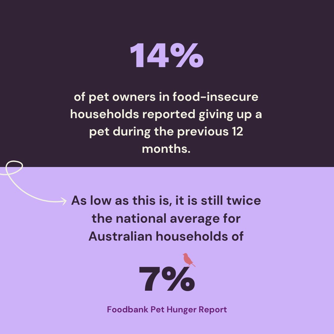 FoodbankAus's tweet photo. Did you know almost a quarter (24%) of pet owners in food insecure households are skipping meals so their pets can eat?
You can read the Foodbank Pet Hunger Report here 👉https://t.co/kZ5cntgl30
#PawsInNeed https://t.co/blYh2GHdxy