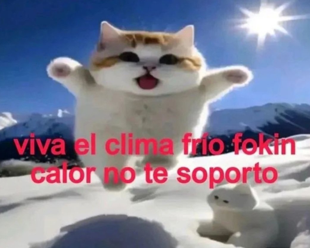 kimx_os0's tweet image. 