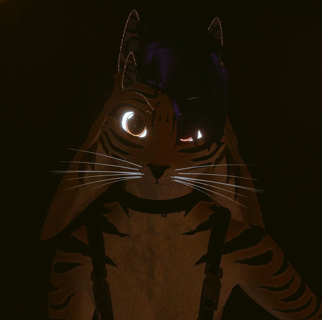 SonicFlori tweet media