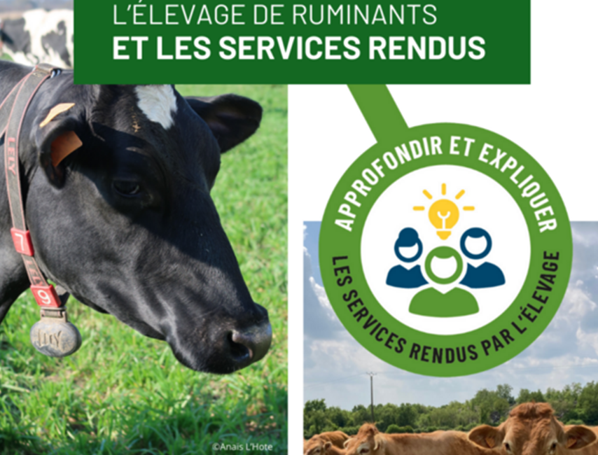 Benoît Rouillé tweet media