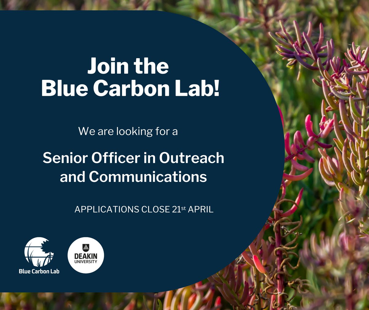 📣 We are hiring! Applications are open for our Senior #Scicomms position. Join our team & help our science have impact, we’d love to hear from you! ⏳Applications close Sunday 21st April. 🔗Details - careers.deakin.edu.au/cw/en/job/5504… #BlueCarbon #ScienceCommunication #JobOpportunity