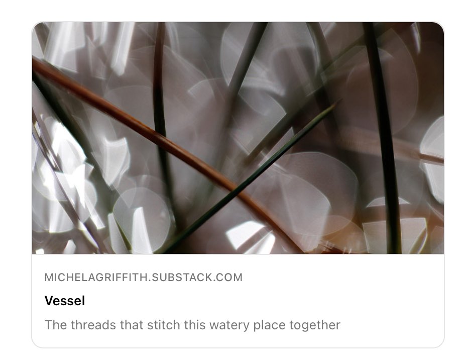 Last week I shared a poem and images from a new project inspired by the world of the moss. This week I’ve been back to find more small beauty and will be sending an exclusive update to subscribers. Join me for an immersive walk later today - opt in via the link in my profile.