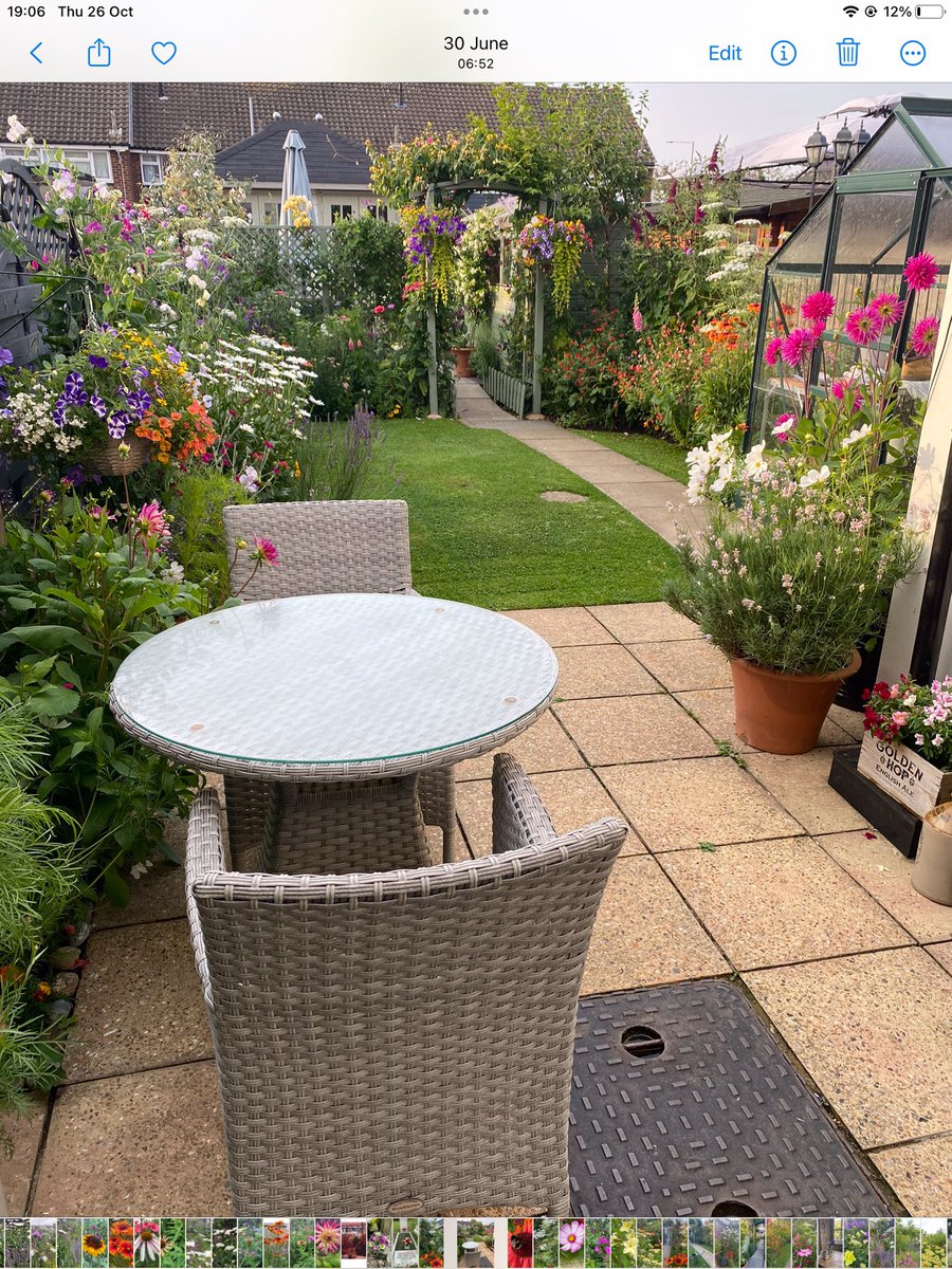 Morning all, here’s my garden in 2017, #ThrowbackThursday Little did I know then a year on the changes my life would take. Oh and garden #GardeningTwitter #GardeningX