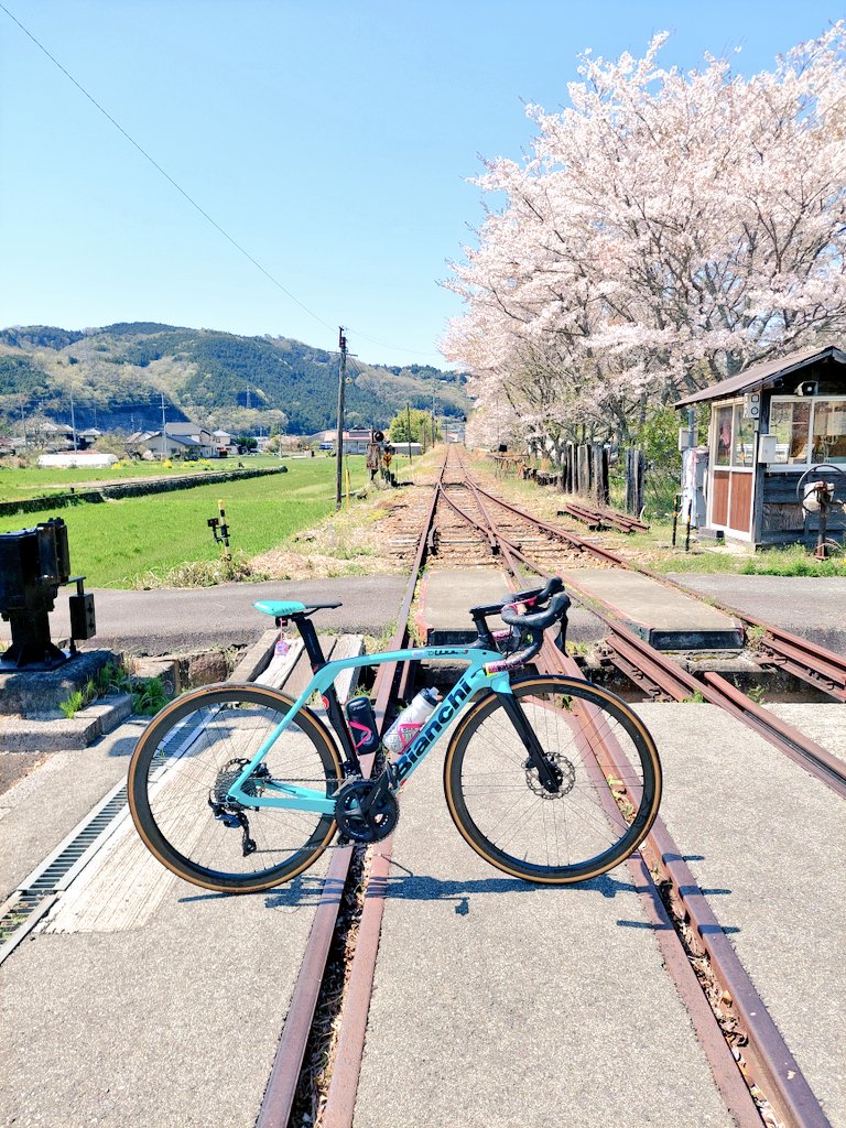 片鉄ロマン街道その2✨
吉ケ原駅🌸
#ロードバイク #roadbike #ビアンキ #Bianchi #片鉄ロマン街道