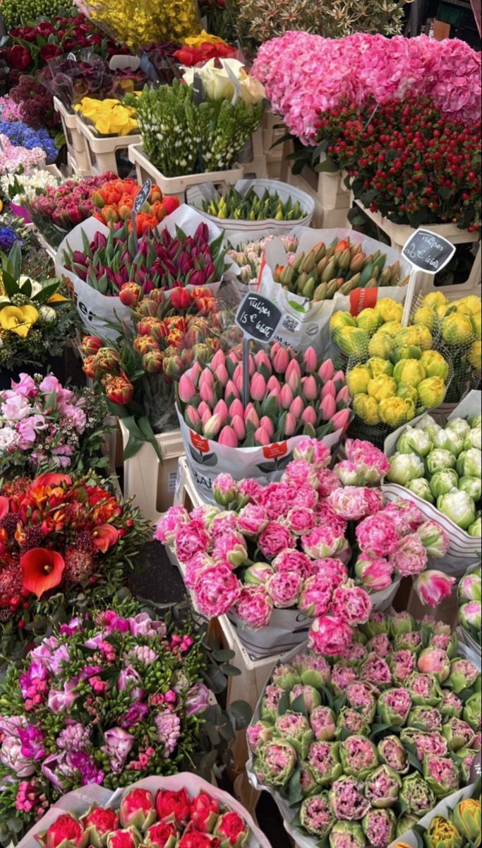 moontides_'s tweet photo. Surrounded by flowers 💐 https://t.co/e6y5xtTucz