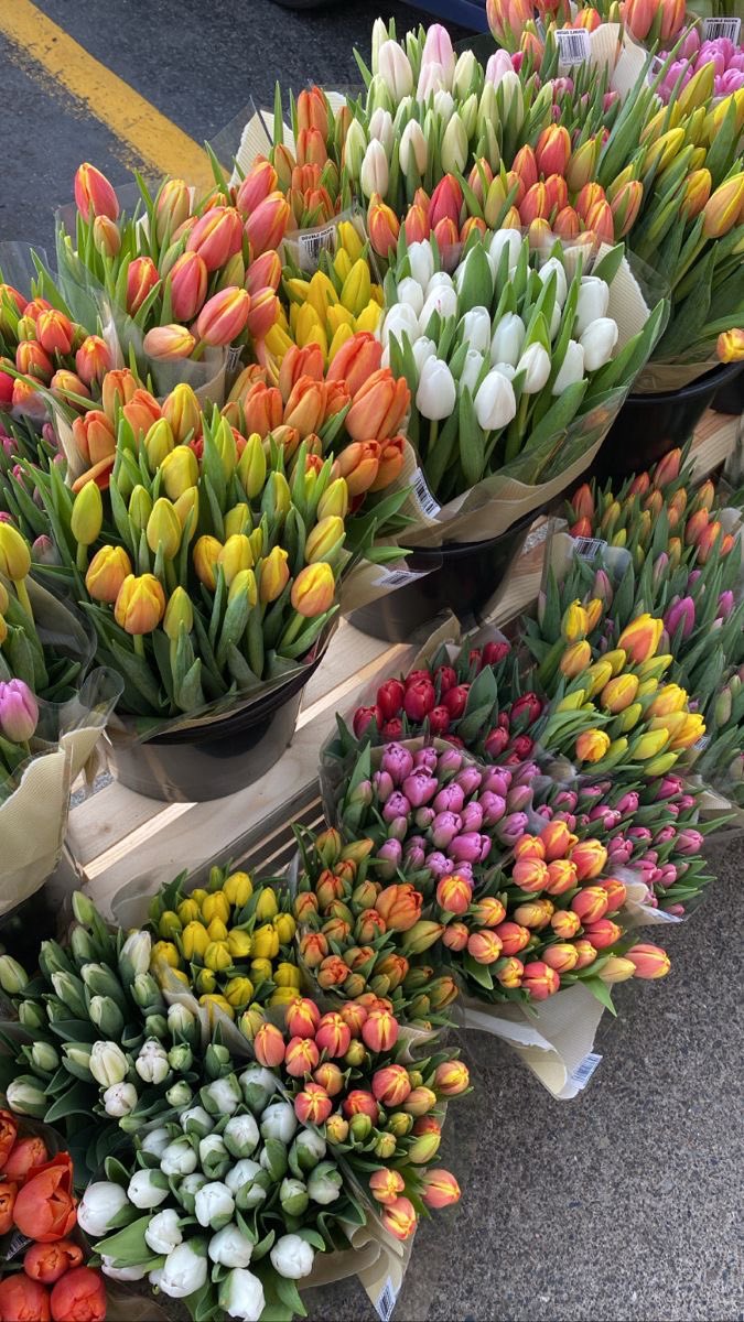 moontides_'s tweet photo. Surrounded by flowers 💐 https://t.co/e6y5xtTucz