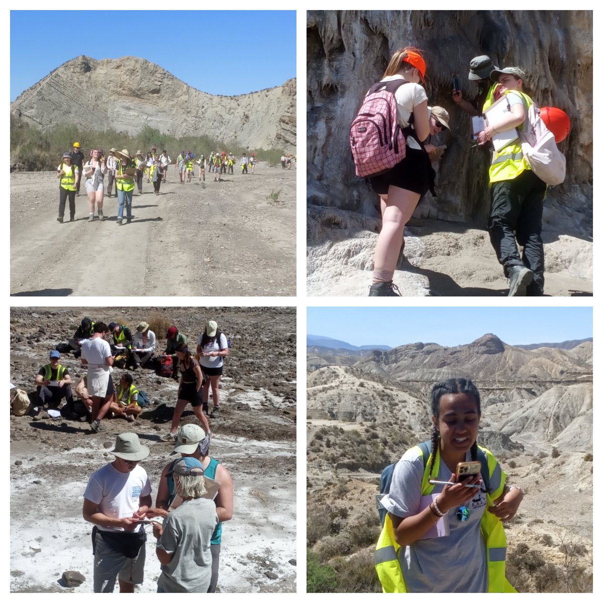 Great day on the @tcddublin 4th year #Geoscience field trip in Almería, Spain. We spent the day in the Tabernas basin studying the Gordo Megabed (possible tsunami deposit), the badlands, and the wonderful travertines 👍.