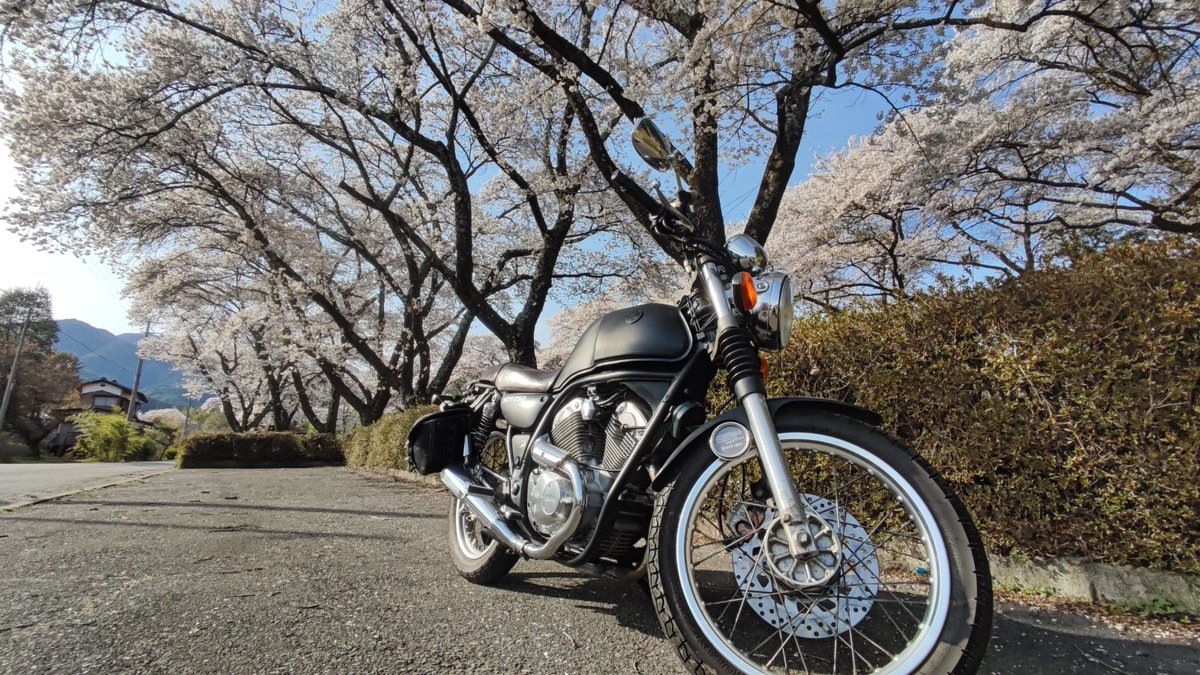 LIXIL_SRV's tweet photo. いつもと少し違う撮り方で、
「写真いっぱいの桜とSRV」 https://t.co/ieSUhLCP8j