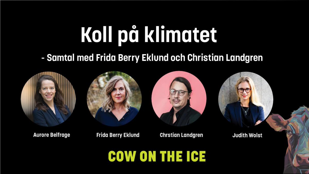 Judith Wolst tweet media