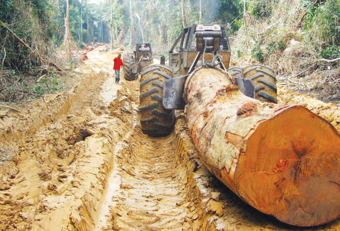 How Congo’s timber is smuggled through Uganda. At the heart of this shadowy network are influential figures linked to security services and politicians across East Africa, including Uganda observer.ug/index.php/news…