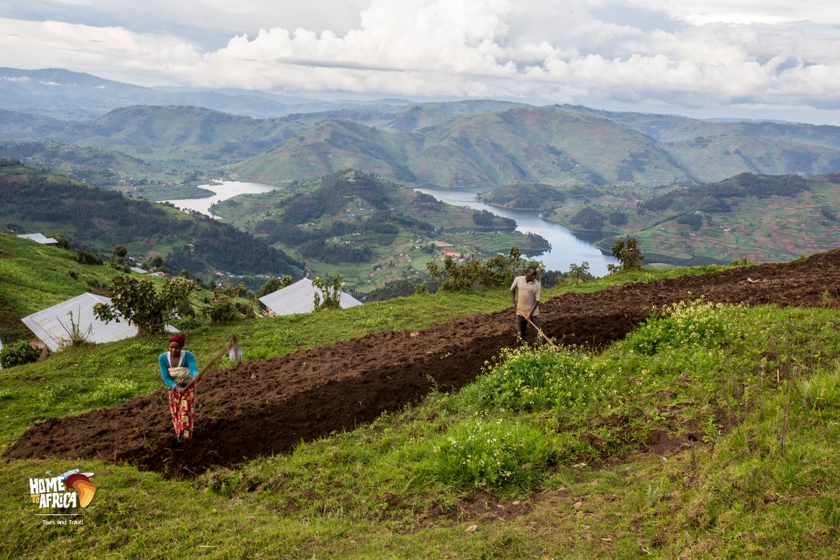 If you love exquisite views, the mountainous majesty of Kabale will take your breath away! 🏔️⛰️

#Kabale #ExploreUganda #VisitUganda #hometoafricatours #farming #safari #travel