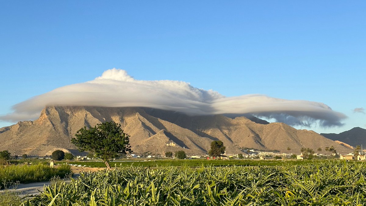 ¡#FelizJueves! ¡Espectacular! Esta mañana (11/04/2024), nube lenticular en #SierraDeCallosa, desde la huerta de #Cox (#Alicante). Aire húmedo y estable se topa con una montaña y es obligado a ascender. Esto ocurre habitualmente en Teide, Etna, Fuji, etc. Imagen: Manuel Pérez.