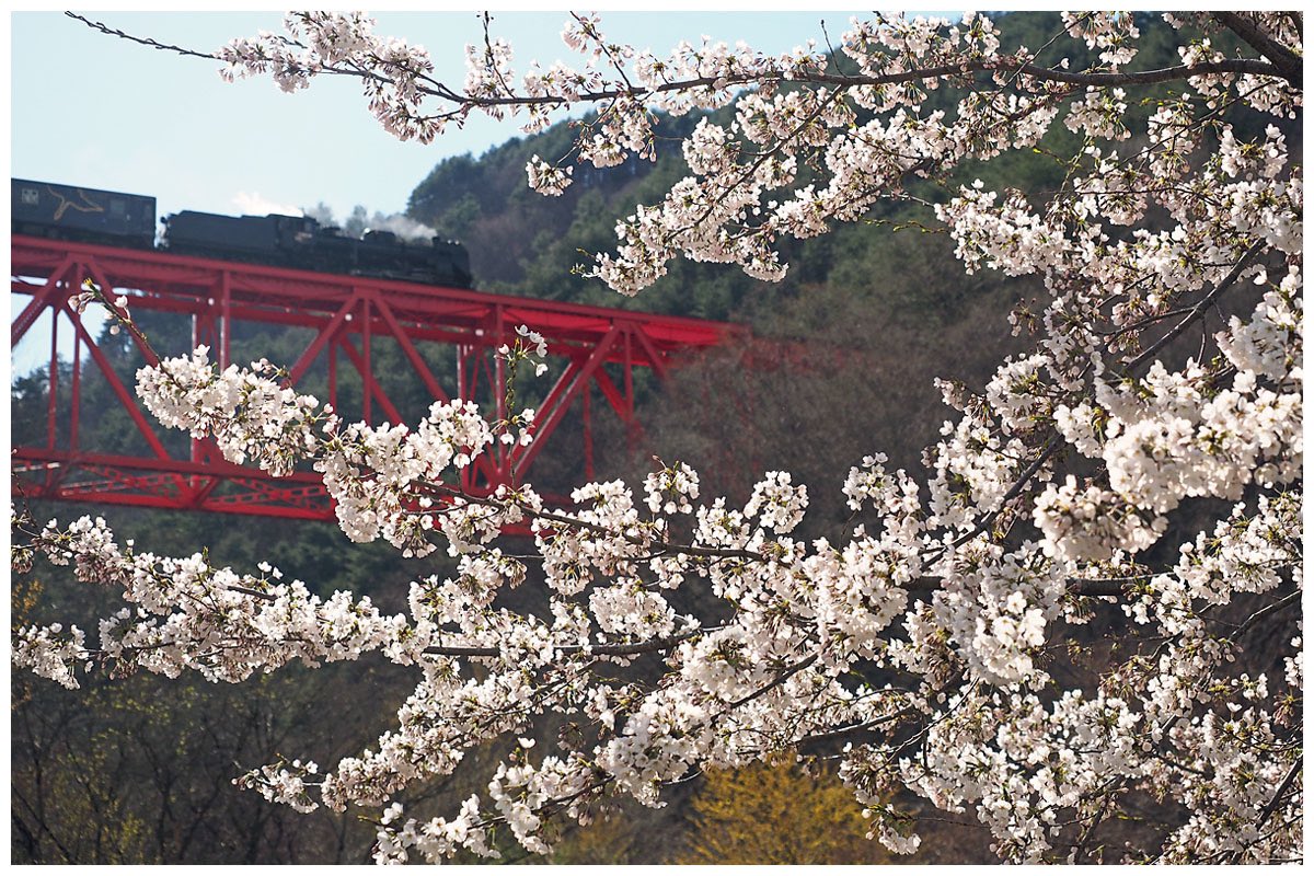 楓ちゃん tweet media