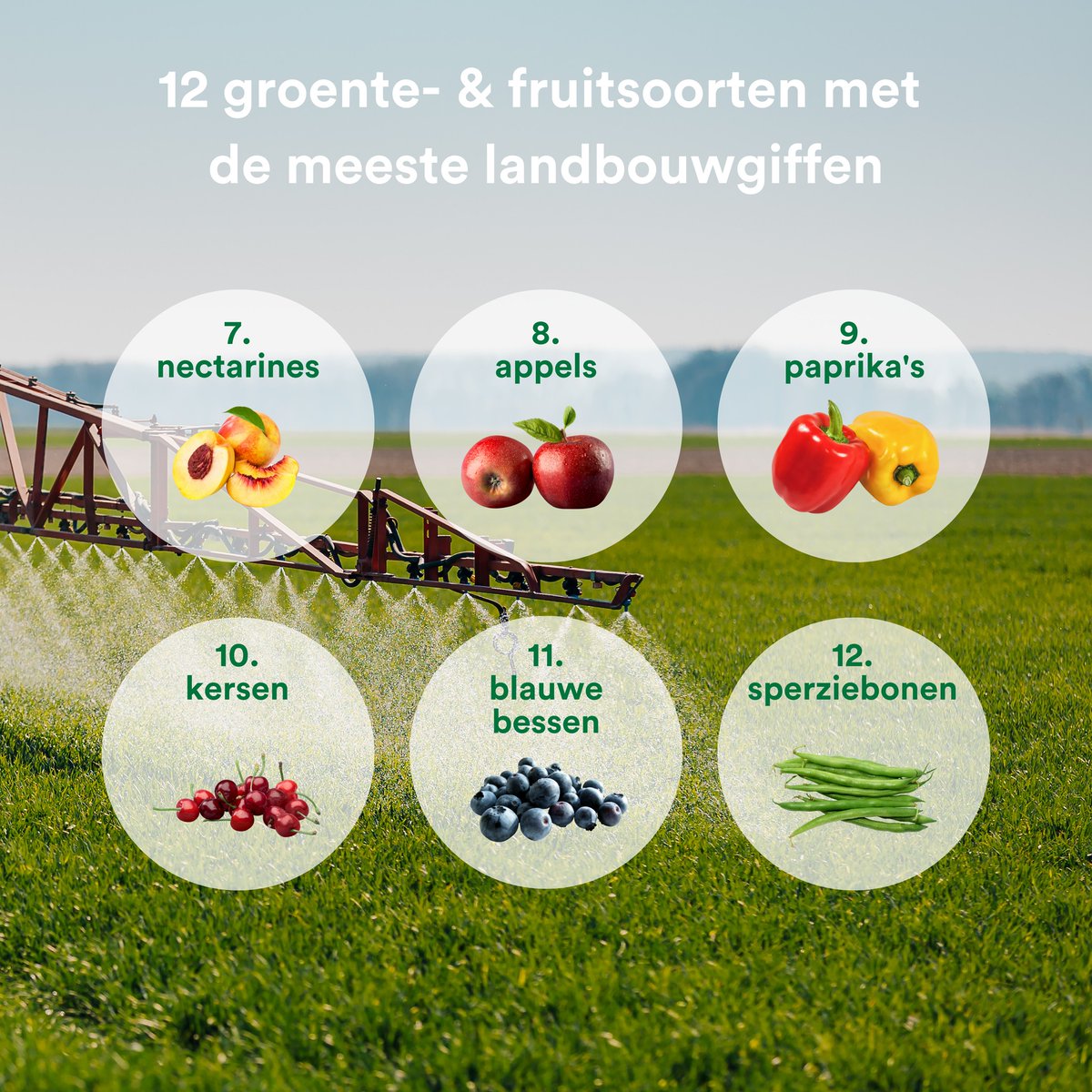 Landbouwgif zit niet alleen in de grond of de lucht, maar ook op je bosje bloemen en in groente en fruit. Even afspoelen onder de kraan en het is eraf? Zo makkelijk is dat helaas niet.

Deze twaalf groente- en fruitsoorten ('Dirty Dozen') bevatten het meeste landbouwgif 👇

2/3