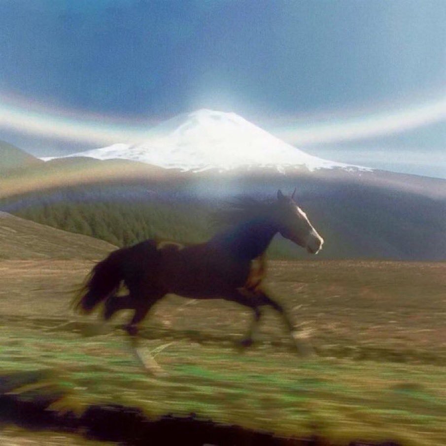 So fühlt es sich an als Pferd auf einer Wiese mit schönem Bergpanorama vor einer verträumt unscharfen Linse beim Galoppieren fotografiert zu werden