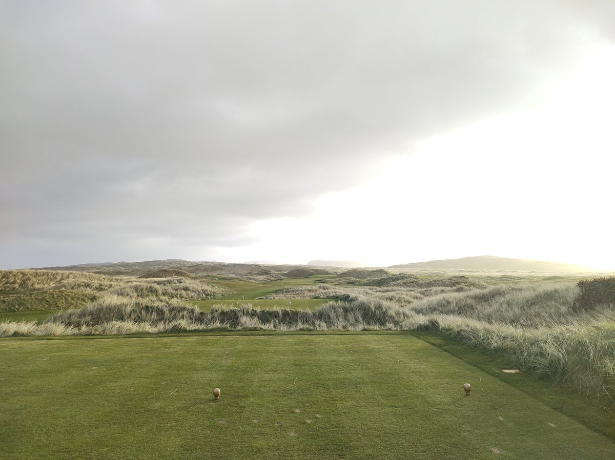 Dennis McC tweet media