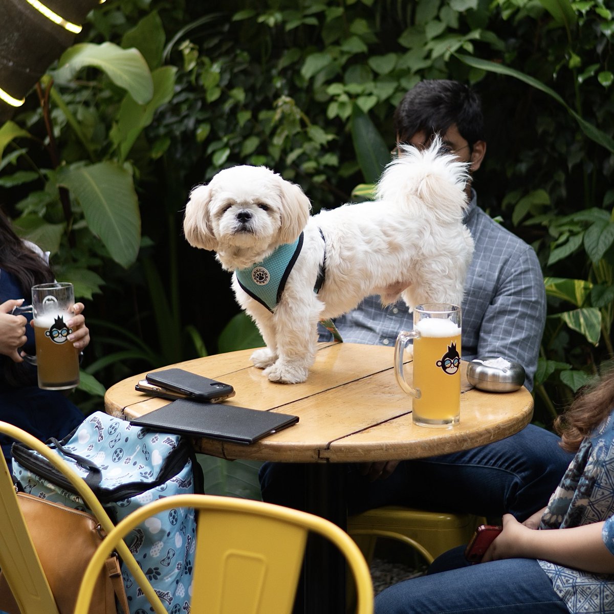 He may not be able to hold a glass, but trust us, he’s got excellent taste in beer 🐶🍻 #NationalPetDay