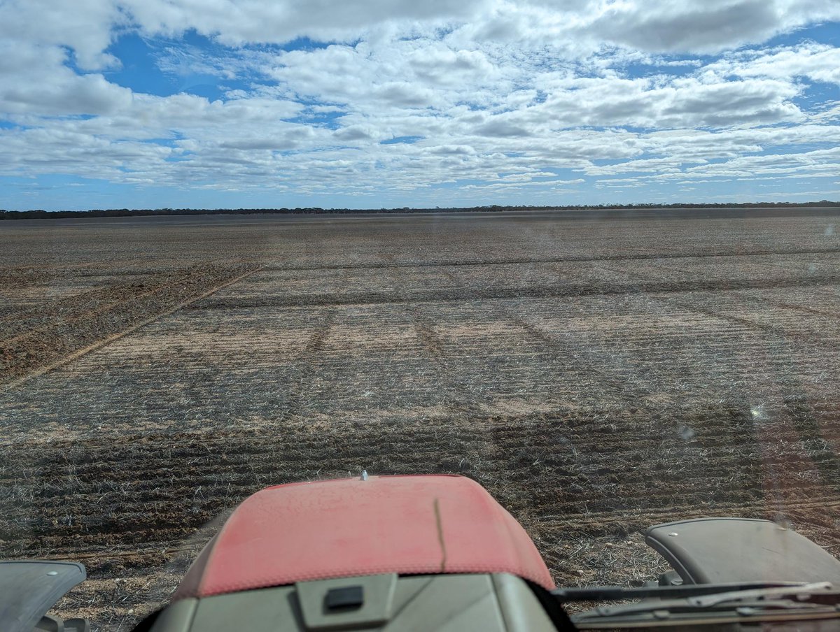 Team WA have completed sowing of the wheat trials at Grass Patch, part of a @UniMelb led project which aims to improve the physiological understanding and crop yield of early sown wheat genotypes under constrained environments grdc.com.au/grdc-investmen… @theGRDC