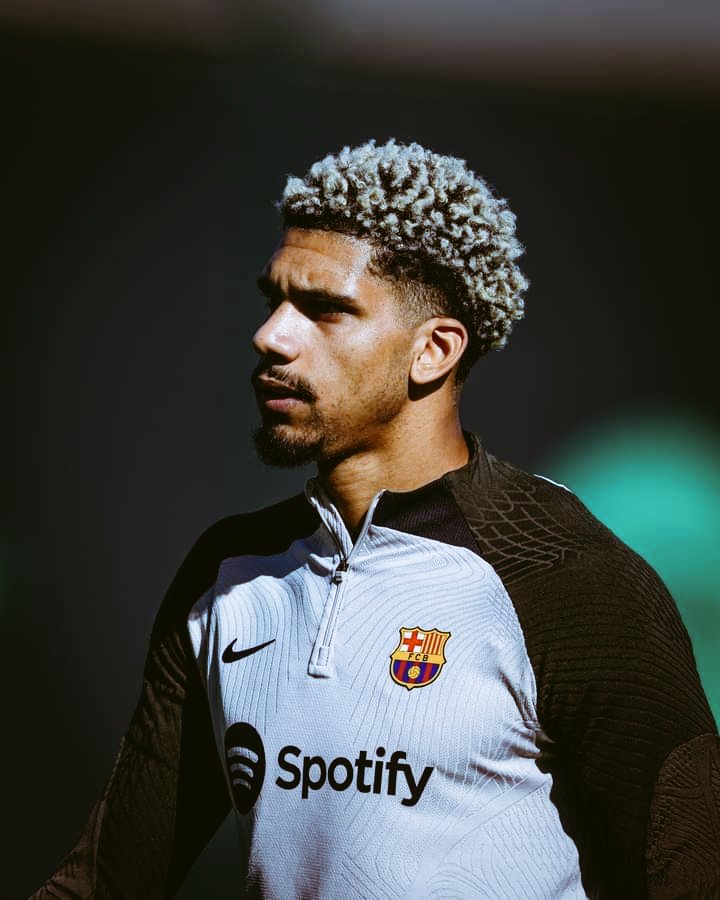 MΛΉITO 🦅 tweet media