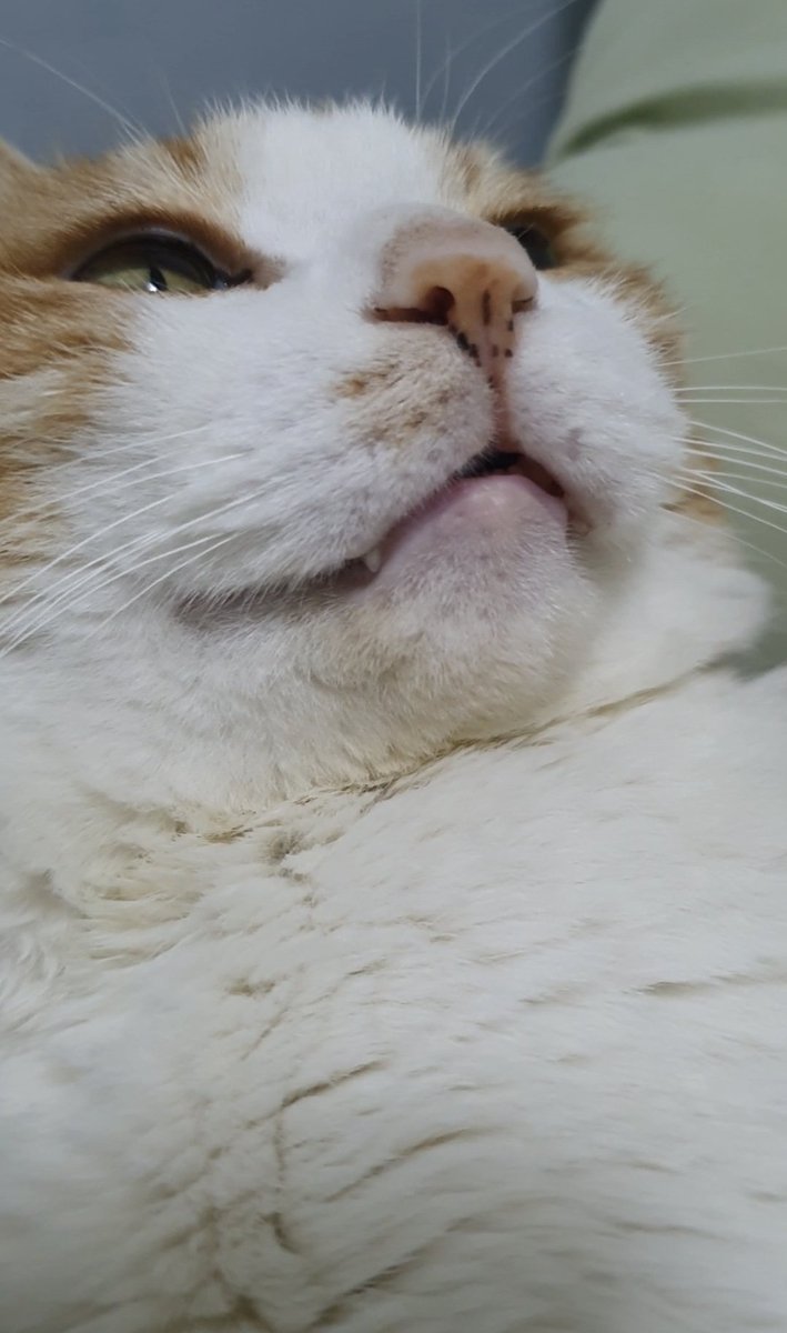 내 새끼 귀여워