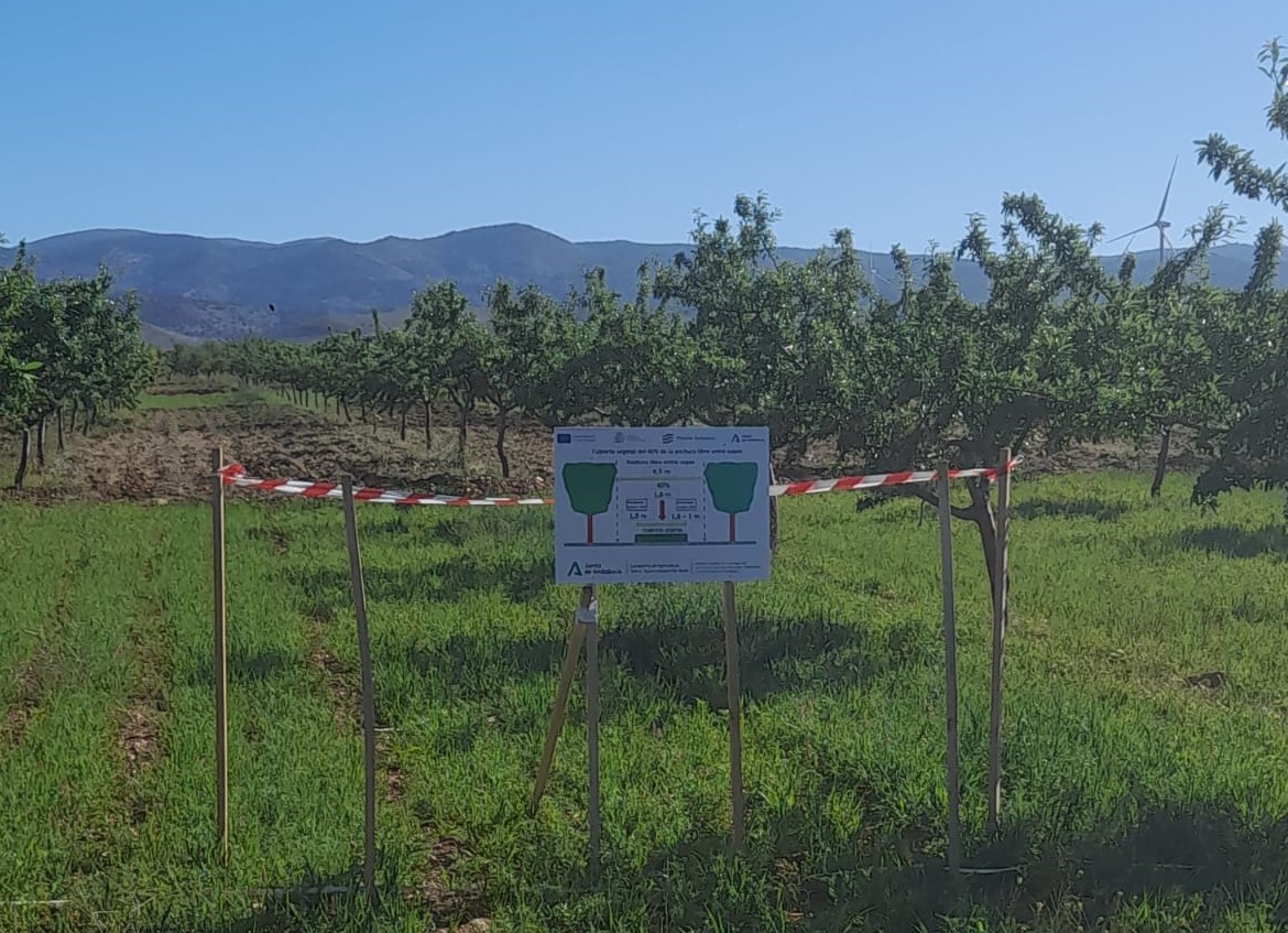 El #IFAPA inicia un proyecto para evaluar la #sostenibilidad del #almendro ecológico de secano en Andalucía oriental🌺 La primera actividad ha sido una jornada de demostración en campo de maquinaria para el control de #cubiertas vegetales 🔗Noticia: lajunta.es/4psah