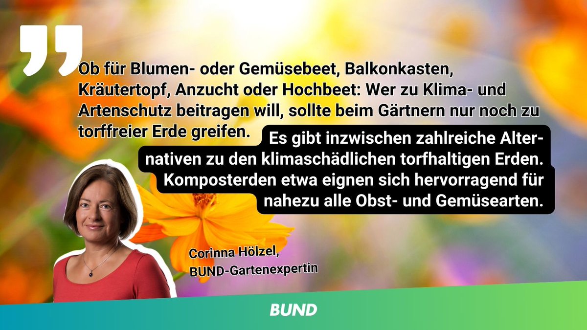 Es ist Gartensaison! 🌻 Ein grüner Daumen ist schon für die Auswahl der richtigen Erden gefragt. Denn wo #Torf drin ist, wurde #Moor zerstört. Wer sich mit dem "Einkaufsführer torffreie Erden" ausrüstet, ist gewappnet für Arten- u. #Klimaschutz im Garten: bund.net/service/presse…