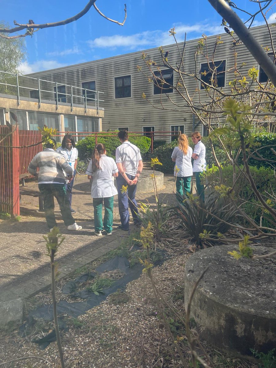 The Hand Therapy team at Wexham Park Hospital had a wellbeing surprise this week . . . Ducklings! 🦆
<a href="/FHFT_wellbeing/">Frimley Health's Wellbeing & Equality Teams</a>