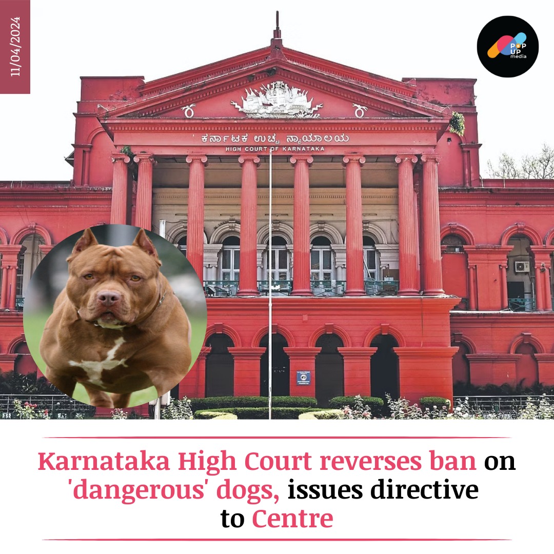 The court emphasized the necessity of consulting pet owners and relevant organizations before implementing such bans.
.
.
.
.
#NewsToday 
.
.
#popupmedia #viral #news #Karnataka #HighCourt #dog #viralnews #trending