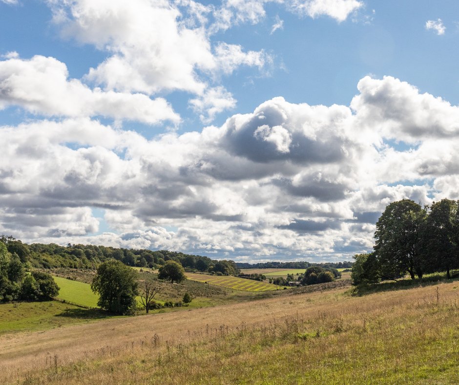 This Sunday we have a glorious 5 mile walk that offers fine views, starting in Little Gaddesden. Join us for FREE and get out in the spring sunshine. Booking is essential 👉bit.ly/3vzH7wR