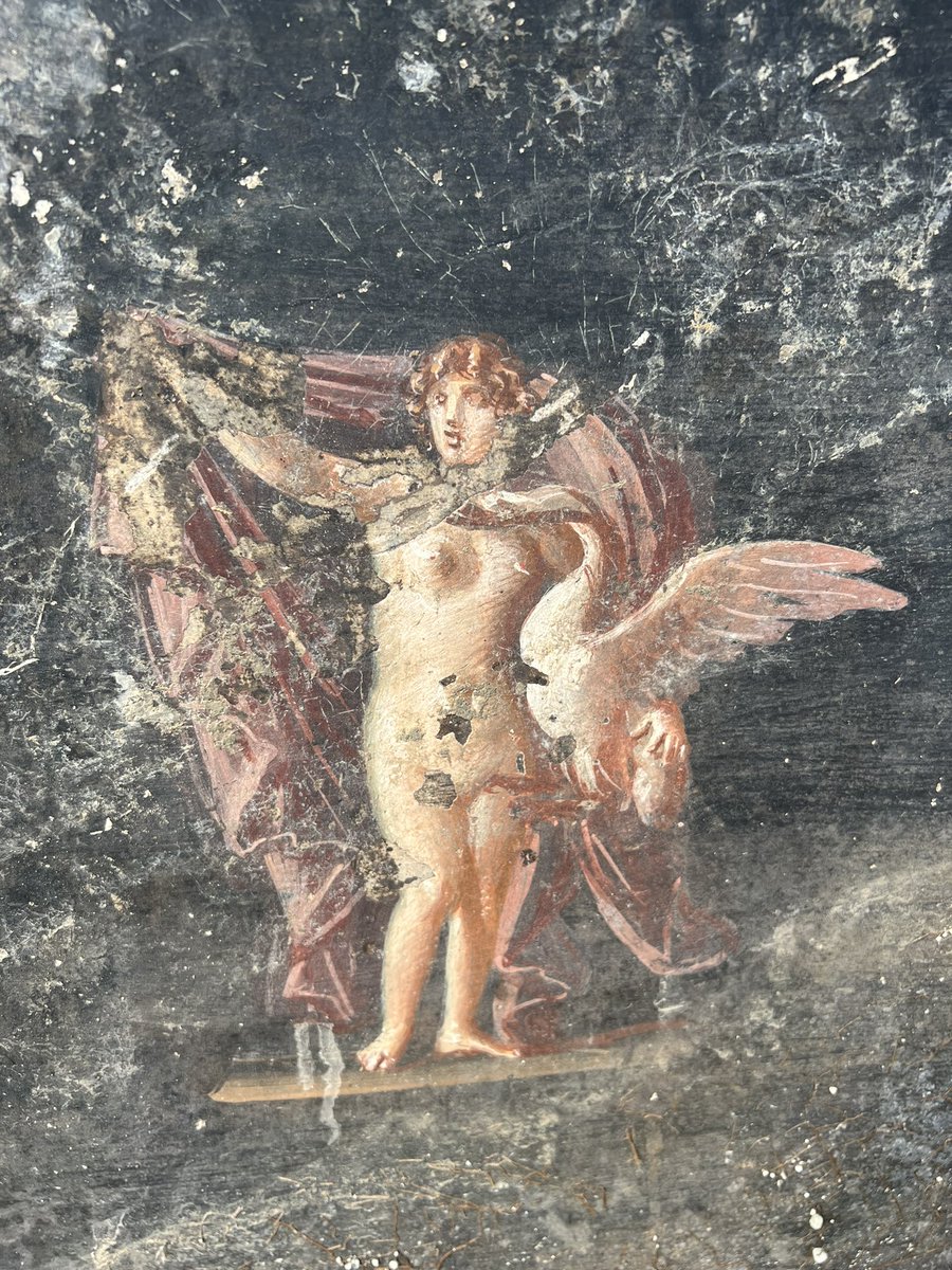 🚨NEW 🚨 I was on site at Pompeii shortly after they made the stunning discovery of exquisite frescoes of figures from the Trojan War in a newly uncovered winter dining room. Story from the site is here: thetimes.co.uk/article/7e8f36…