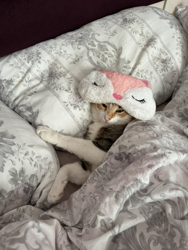 Herkese gümo ve ii bayrmlar 🍭🎀🩷