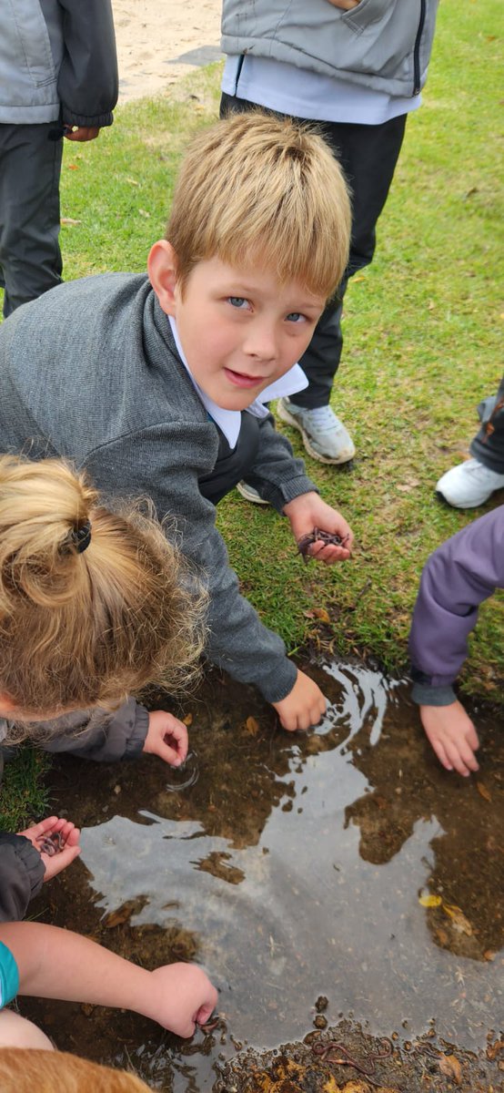 SteynCitySchool's tweet photo. 𝗦𝗔𝗩𝗜𝗡𝗚 𝗧𝗛𝗘 𝗣𝗟𝗔𝗡𝗧 … 𝗢𝗡𝗘 𝗘𝗔𝗥𝗧𝗛𝗪𝗢𝗥𝗠 𝗔𝗧 𝗔 𝗧𝗜𝗠𝗘

After the heavy rains, our Foundation Phase students were saving the planet during their break time … one earthworm at a time.

#SteynCitySchool
#WeReachBeyond
#WhereHappyChildrenLearn
#SteynCity https://t.co/1Ynjwq5szG
