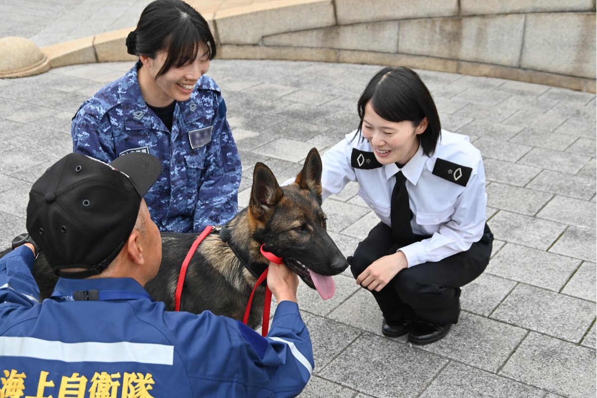 ４月１１日（木）、新たな警備犬の命名式😝🎉💐が行われました。スペイン語で平和を意味する「ＰＡＺ（パス）」🐺と命名されました。これから、警備犬としての訓練に励んでいきます。🏃💨今後の活躍にご期待ください😁