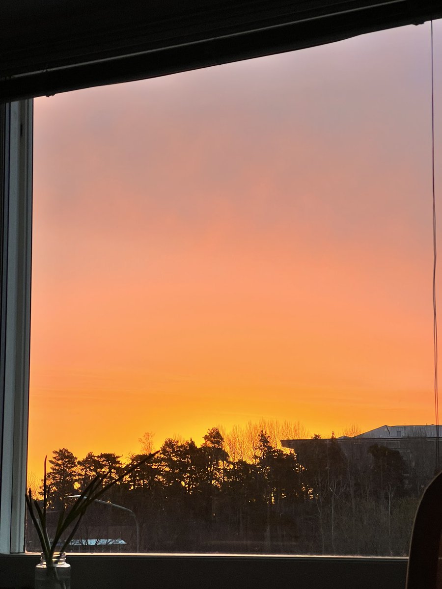 Stockholm is rewarding us with beautiful sunrises after almost half a year of winter 🥹