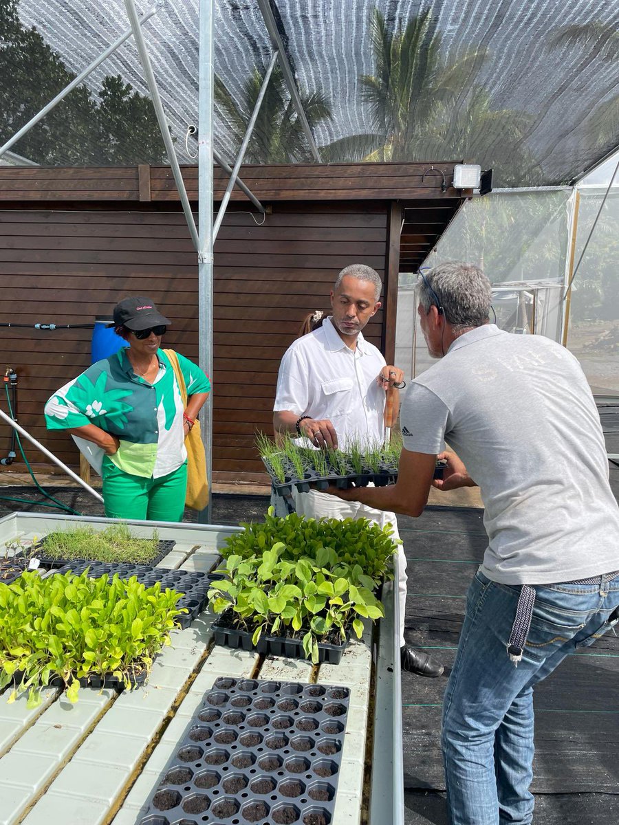 Eric Chenut tweet media