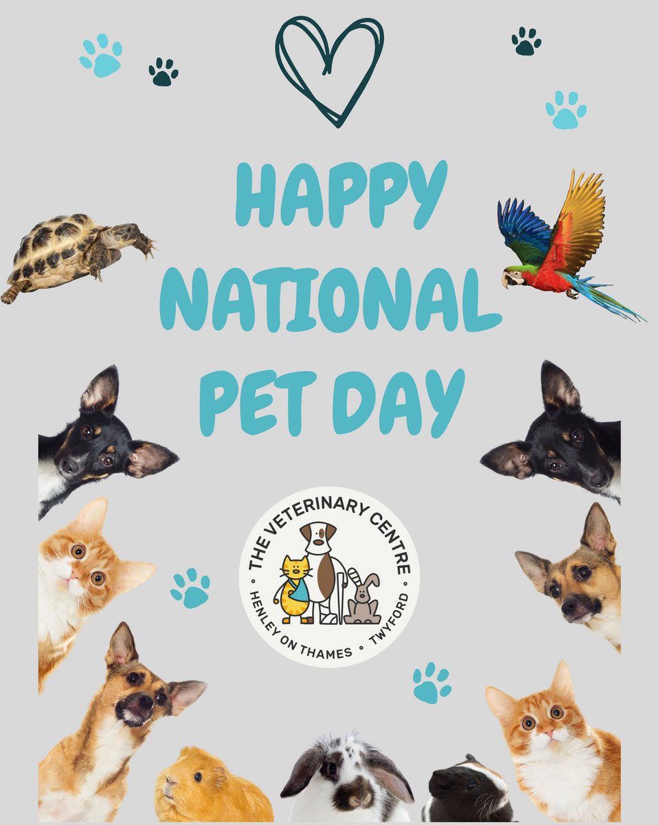 💚 It's National Pet Day 💚

To celebrate, we'd love you to share pics of your pets with us

Past or present, big or small, furry feathered or scaly, let's see them all ❤️

#nationalpetday #independentveterinarypractice #henleyonthames #twyfordberkshire #localvet #independentvets