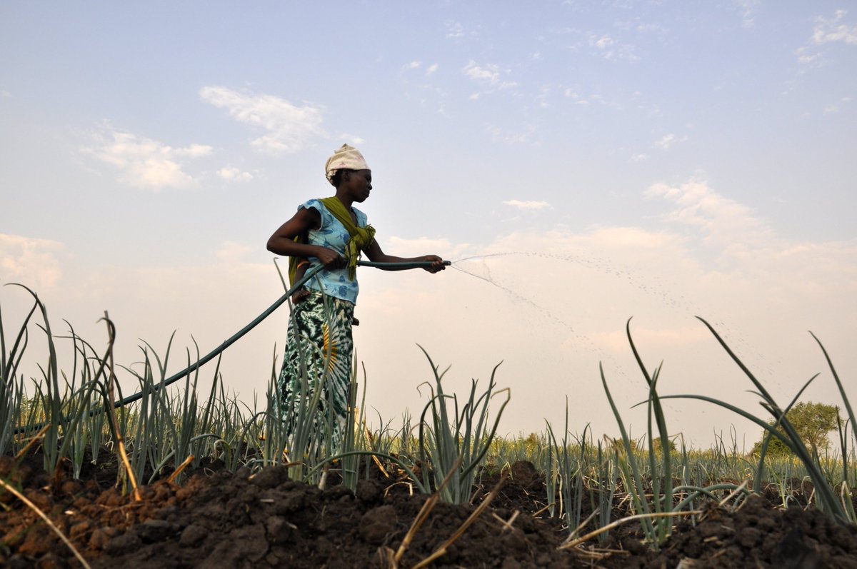 NextBillion's tweet photo. The private sector is "almost entirely absent" from funding #ClimateResilience, with just a 2% share of these investments.

Could "resilience credits" be the answer?

https://t.co/8IvtYis1W4

#ClimateChange #climate #impinv @Jo_Puri @IFAD @RaniaAlMashat @jp_phillips10 @EAPDuke https://t.co/6gksYQD9QP