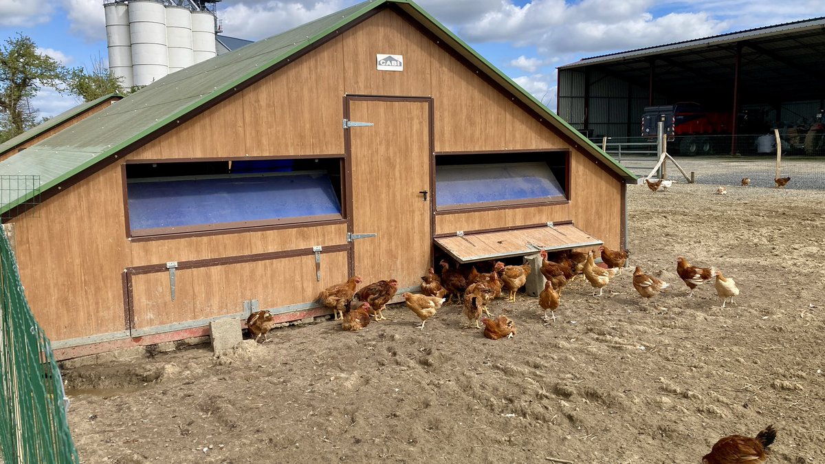 departement86's tweet photo. đ | 6e Ă©dition de lâopĂ©ration « Au prĂ© de la ferme » Ă la Ferme des Petits Partenais Ă #Archigny
đŻ Mettre en avant lâengagement des producteurs qui adhĂšrent Ă #Agrilocal86
đŻ Sensibiliser les enjeux du #Mangerlocal grĂące Ă lâaccĂšs Ă une alimentation de qualitĂ© et de proximitĂ© https://t.co/CBHX22jWXO