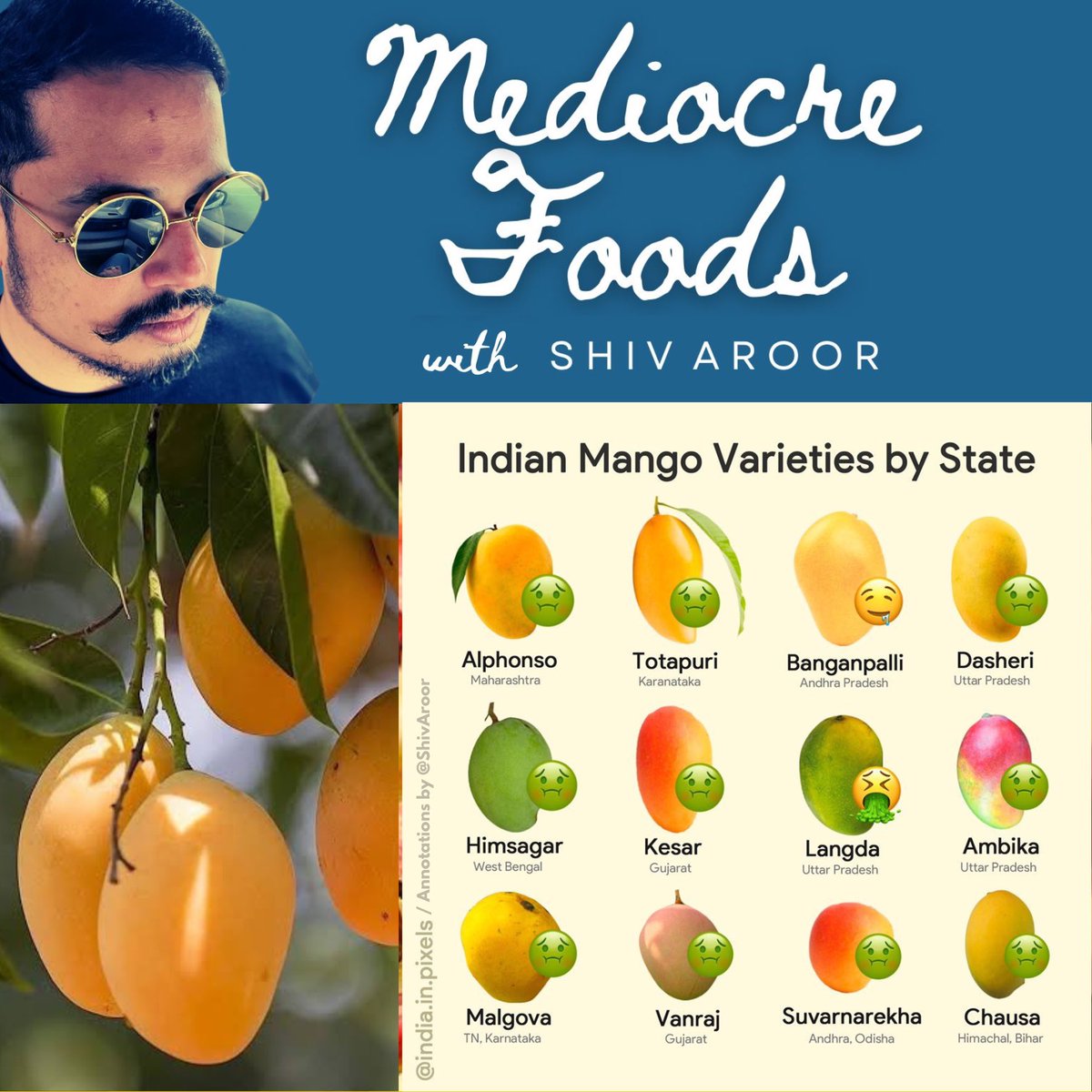 Annual reminder that it’s the season of India’s most overrated fruit: ALL mango varieties except Banganapalli (a.k.a. Safeda, Benishan) #ShivsMediocreFoods 🥭🤢