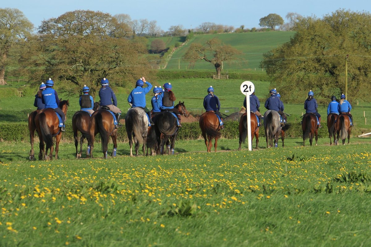 ☀️ First lot at Manor House Stables this morning.

@Coral @HM3Legal @nafuk #TeamMHS