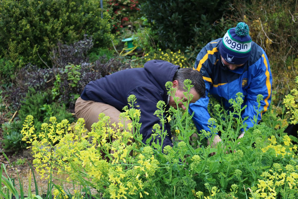 Our team were delighted to be gardening once again with @CopeFoundation 🍃 We are delighted with the development of our partnership and the friendships we have built along the way, looking forward to another great year ahead ✨ #SensoryGarden #CopeFoundation #WeValueExceptional