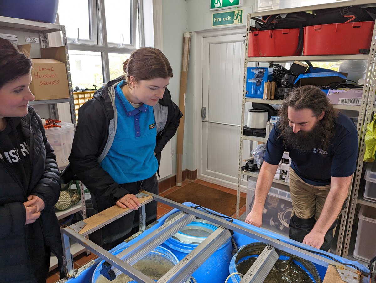 Thrilled to host @OrstedUK at Spurn for a deep dive into our #WilderHumber seagrass restoration project 🌱 Discussing restoration methods & future planting trials, we visited the field station & restoration site where we're restoring 30 hectares of vital seagrass meadow! 🌊