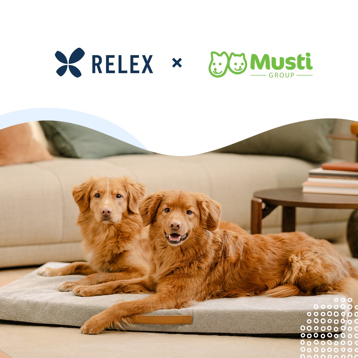 Musti Group, a top Nordic pet care retailer, is boosting supply chain planning with RELEX space, assortment, workload forecasting, and capacity optimization capabilities. bit.ly/3W16Etk